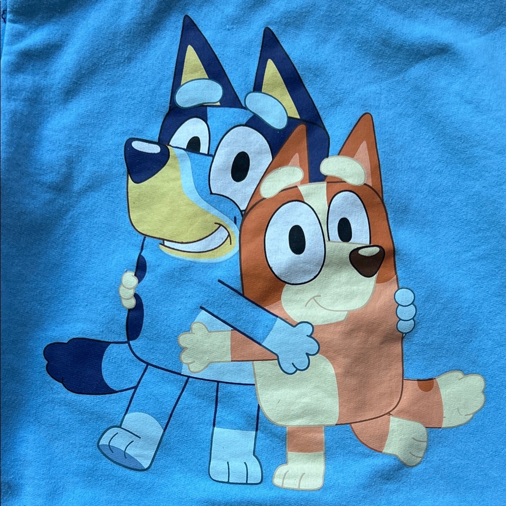 Disney Bluey Kids Full Zip Blue Hoodie with Ears.
Size 6-7 - Picture 11 of 11